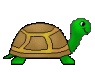 Tank the Turtle